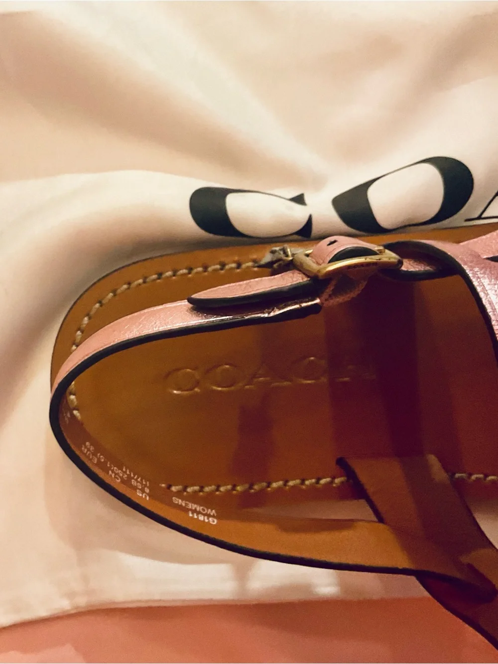 COACH Rose Metallic Leather Thong Sandals with Tan Footbed